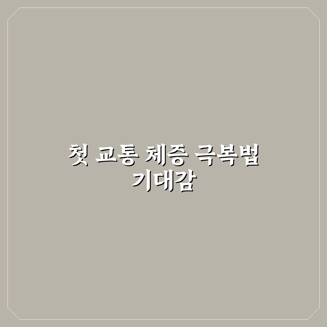 여행지 교통 체증 피하는 출발 시간과 이동 전략 직접 써본 후기