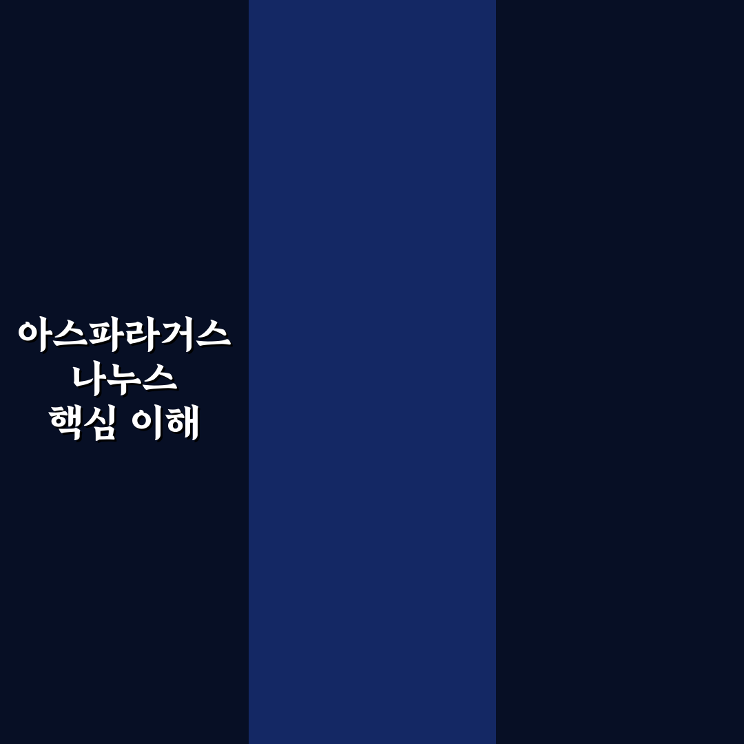 아스파라거스 나누스 키우기 꿀팁과 관리 방법 정리
