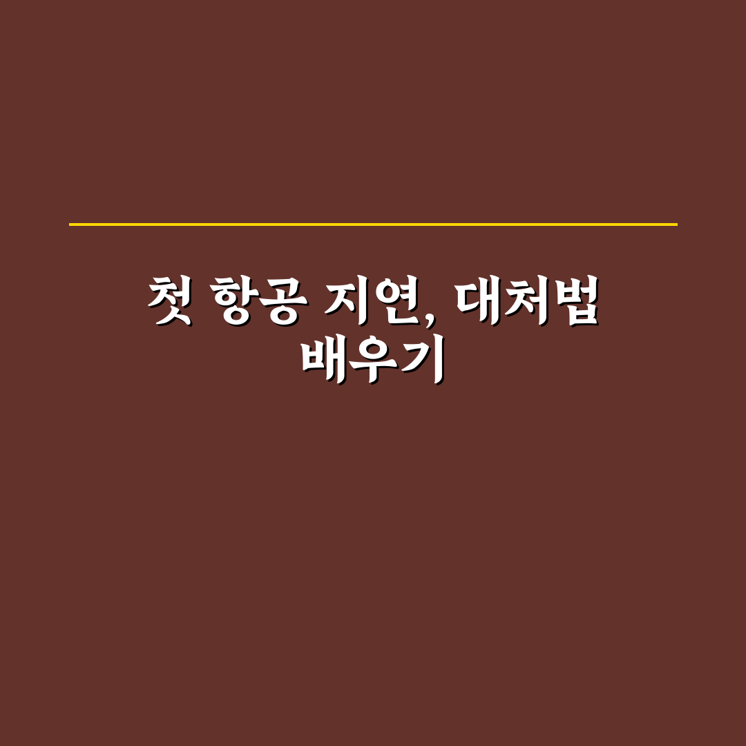 비행기 연착 보상 받는 법과 항공사 대응 순서 사용후기