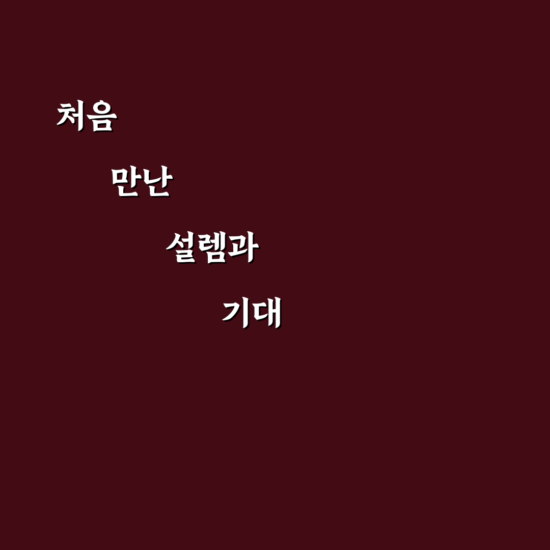 결제할 때 포인트 적립 많이 되는 카드 조합 직접 써본 후기