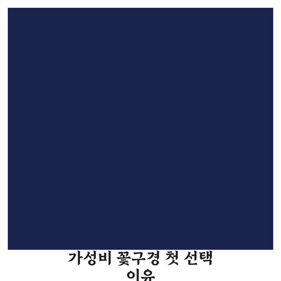 꽃구경 코스 예산 적게 들고 사진 잘 나오는 곳 추천 직접 써본 후기