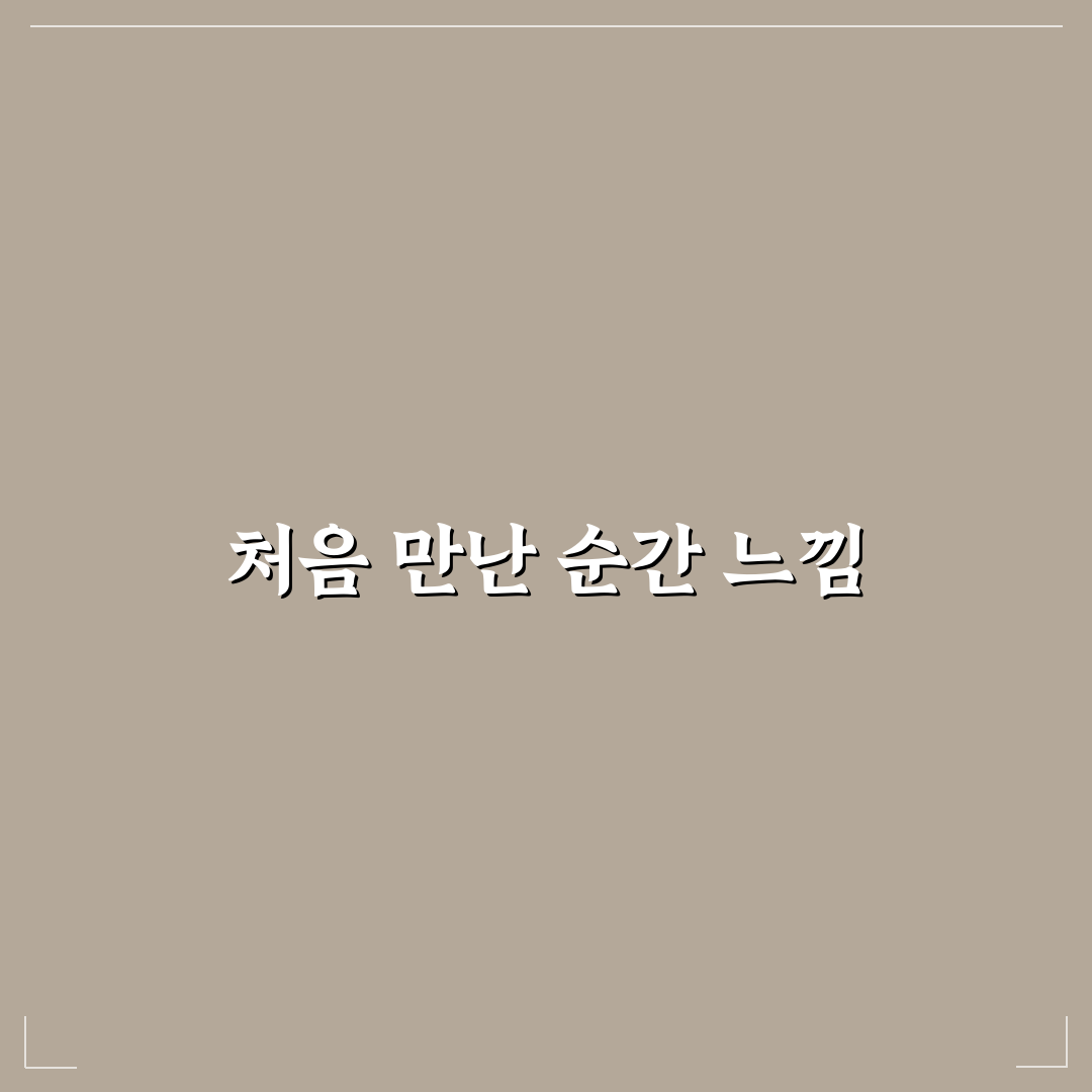 코레일톡 앱 활용으로 기차표 싸게 사는 실전 팁 직접 써본 후기