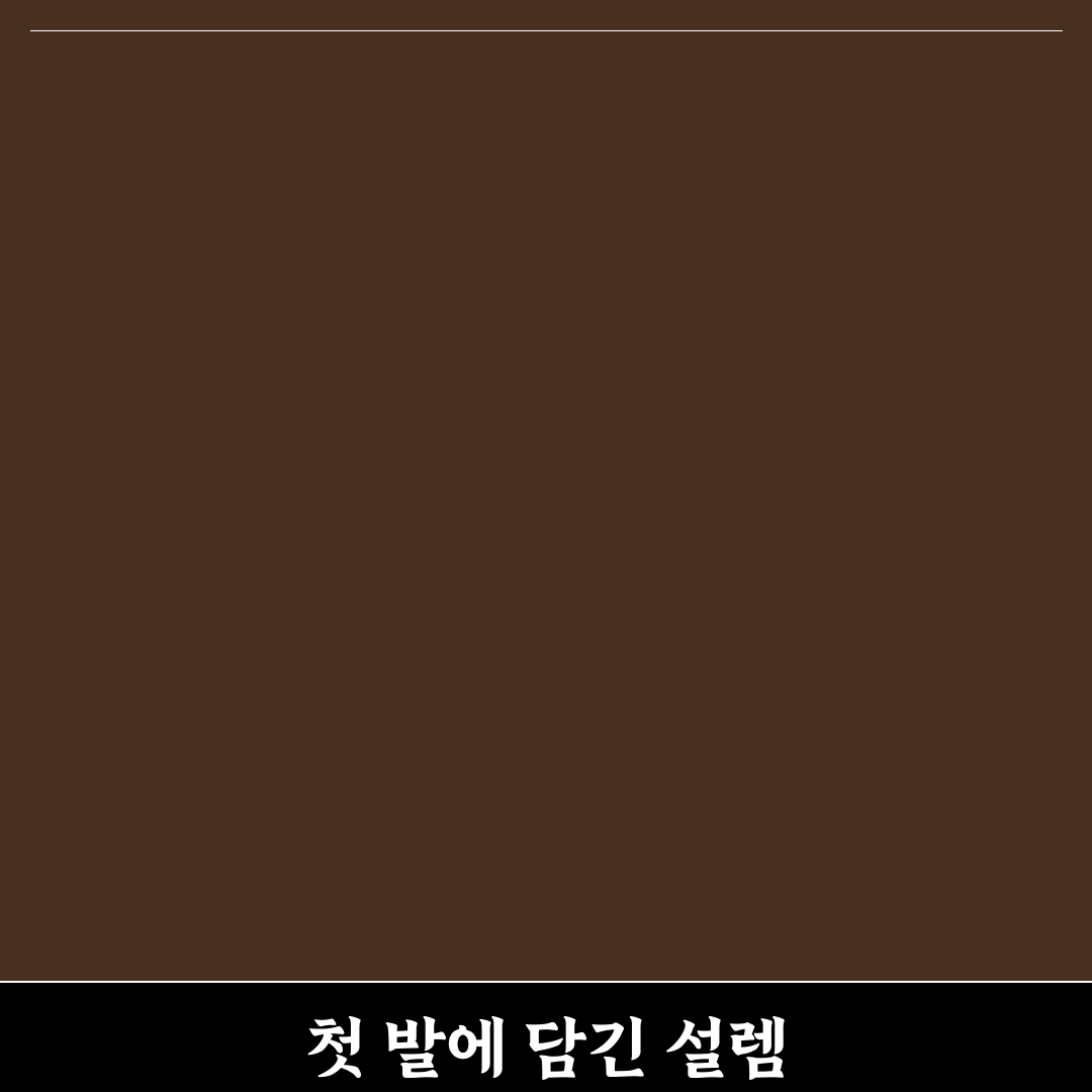 전기 킥보드 할인 쿠폰 적용 가능한 앱과 사용 요령 사용후기