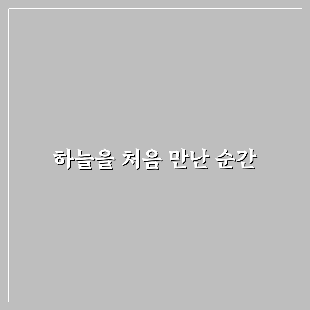 패러글라이딩 가격 비교와 합리적으로 예약하는 방법 사용후기