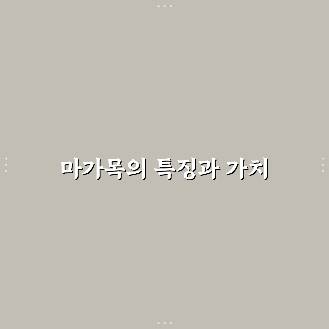 마가목 묘목 고르는 법과 관리 꿀팁 알려드려요