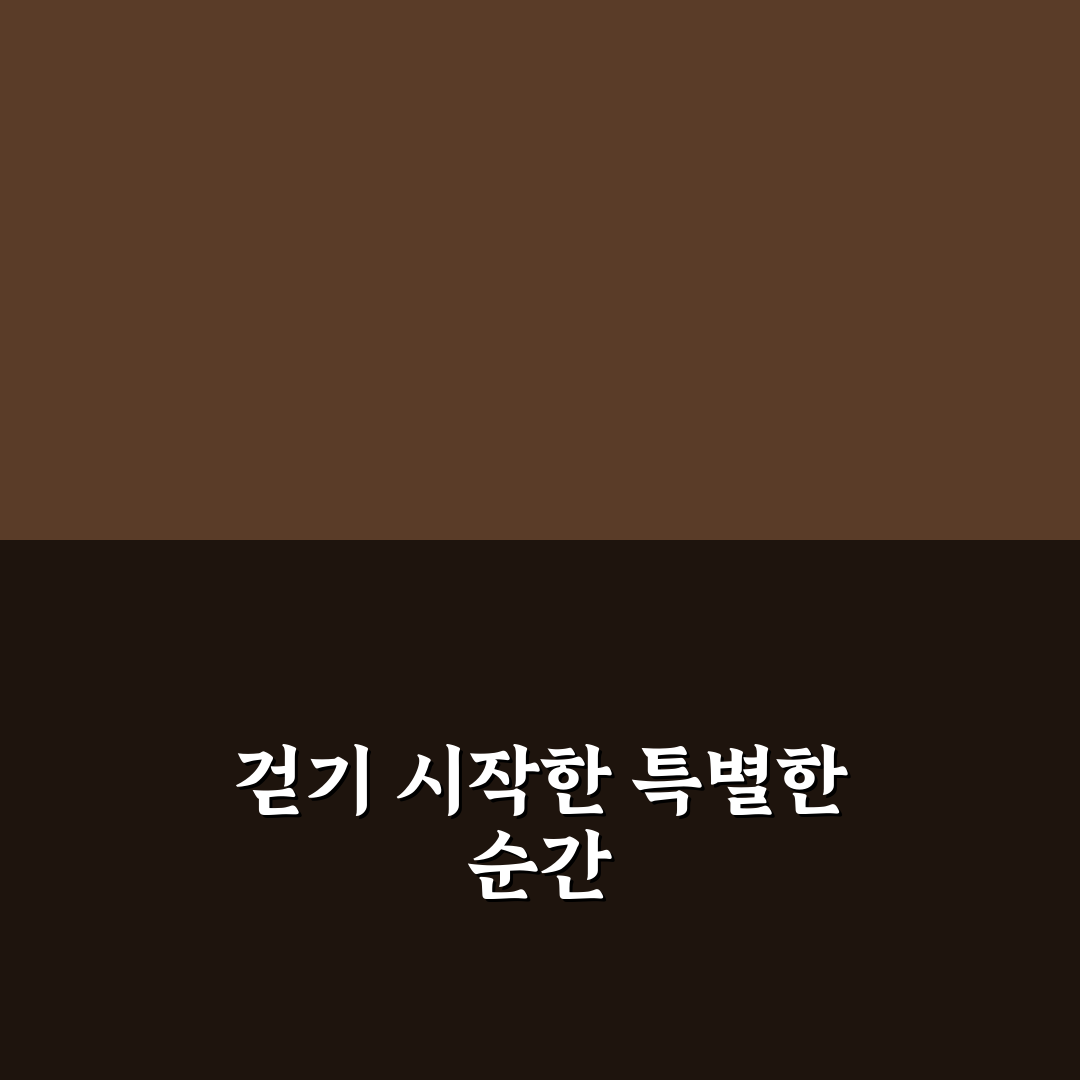 여행지 도보 거리 가늠하는 법으로 이동 시간 줄이기 직접 써본 후기