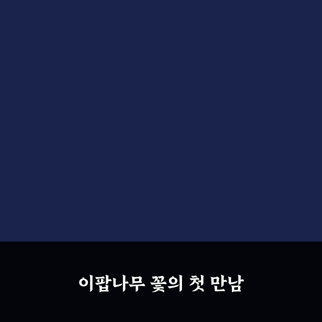 이팝나무 꽃 알러지 후기, 직접 겪어보니 어땠는지