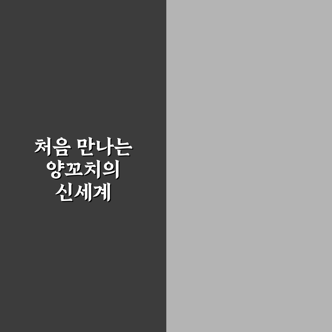 문정동 양꼬치 방문 후기, 솔직한 맛과 분위기 기록