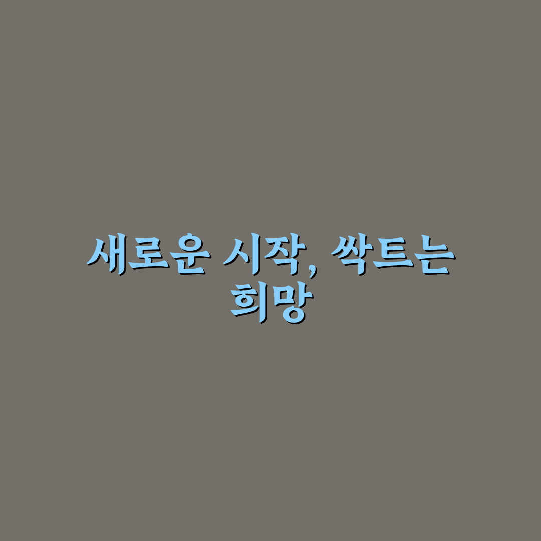 맥문동 모종 가격 직접 알아보니 생각보다 다양했어요