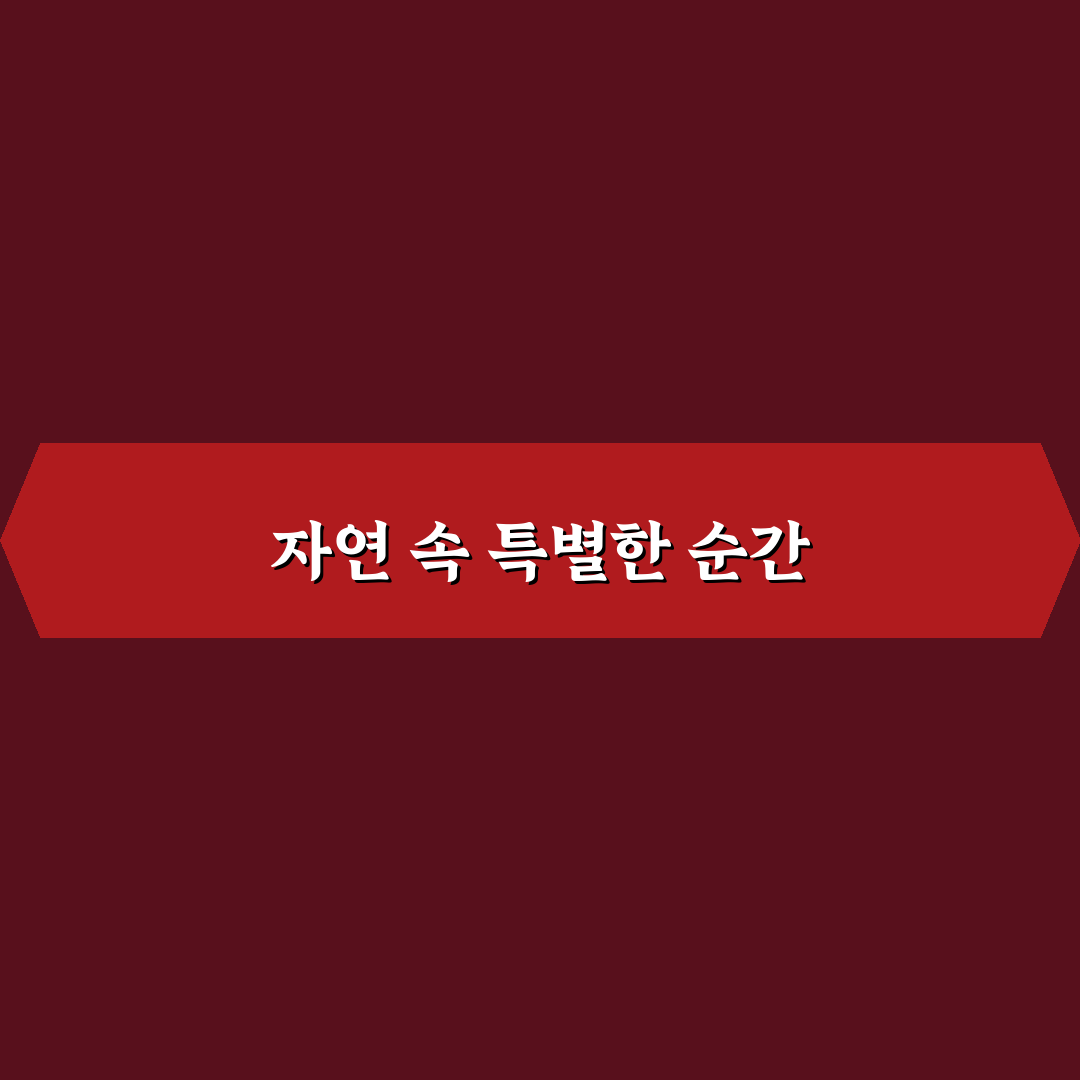 이팝나무 명소 경기도 방문 후기, 봄에 가보니 풍경이 어땠는지