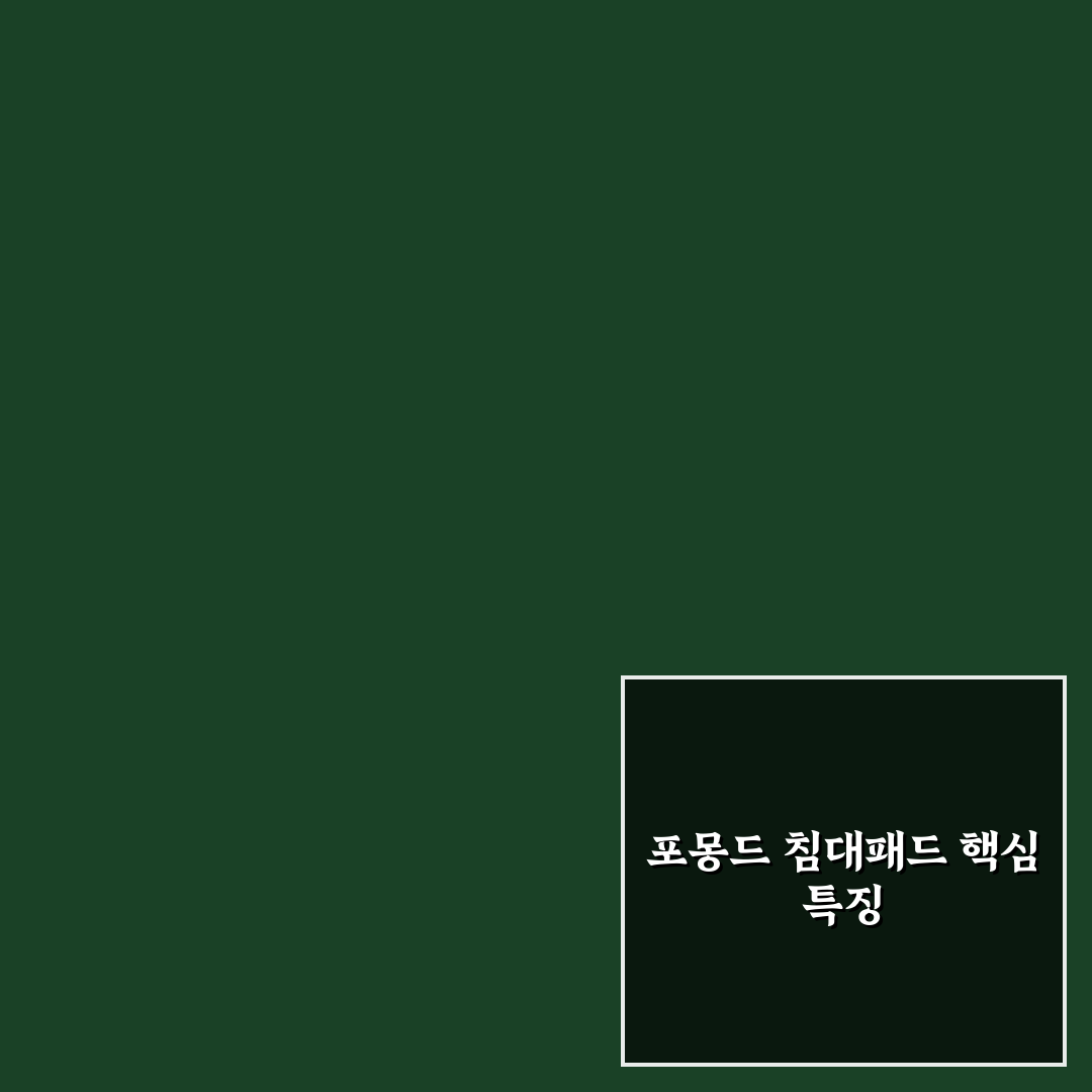 포몽드 침대패드 사용 꿀팁과 선택 기준 정리