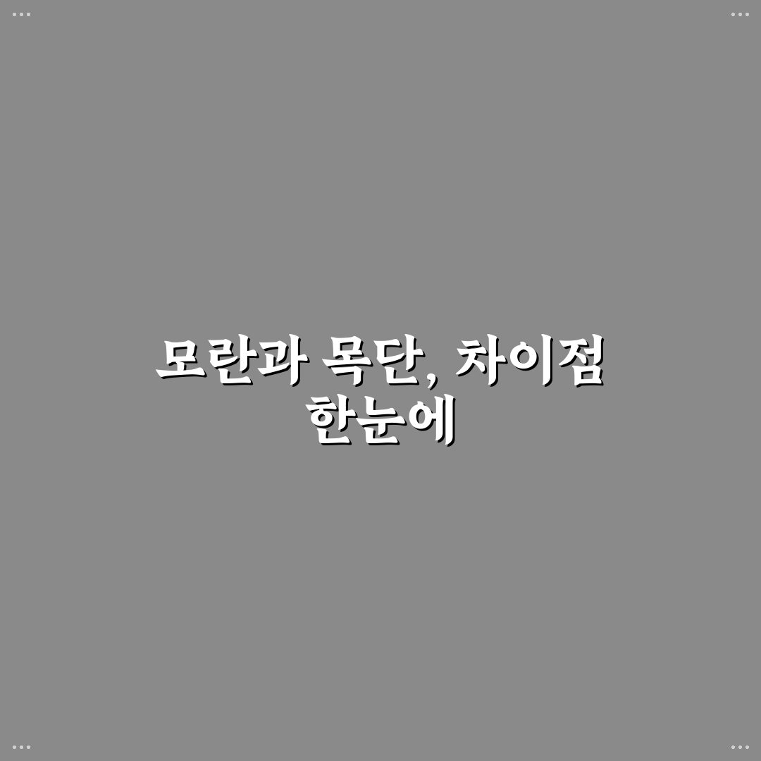 모란 목단 차이 쉽게 비교하는 방법과 추천 팁