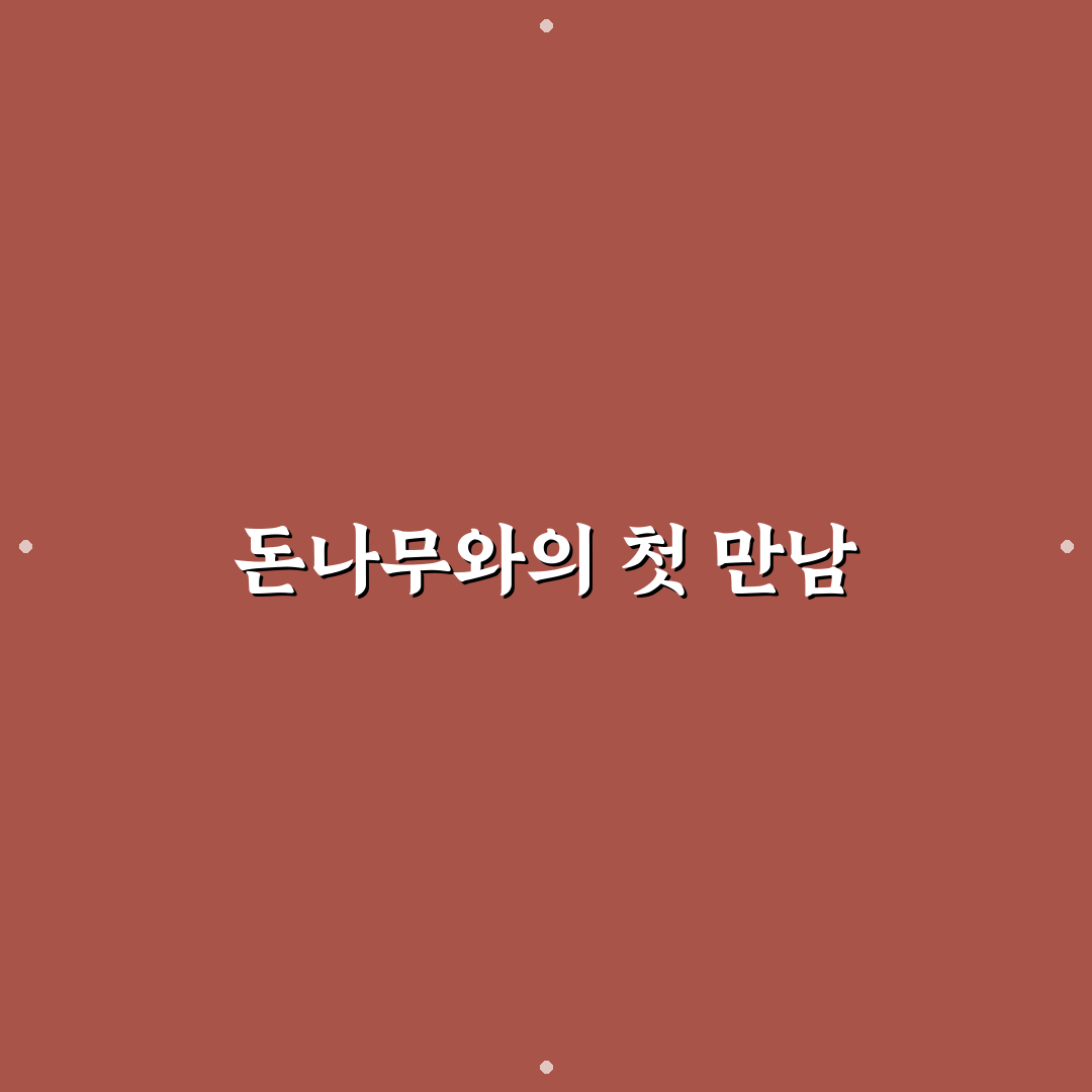 돈나무 키우기우는법 직접 해보니 느낀 점과 팁