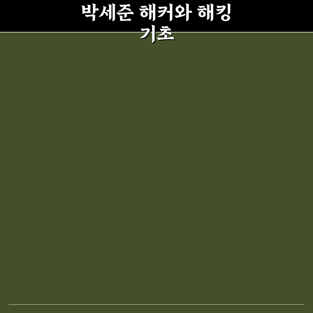 박세준 해커 기본 정보와 활동 내역 정리