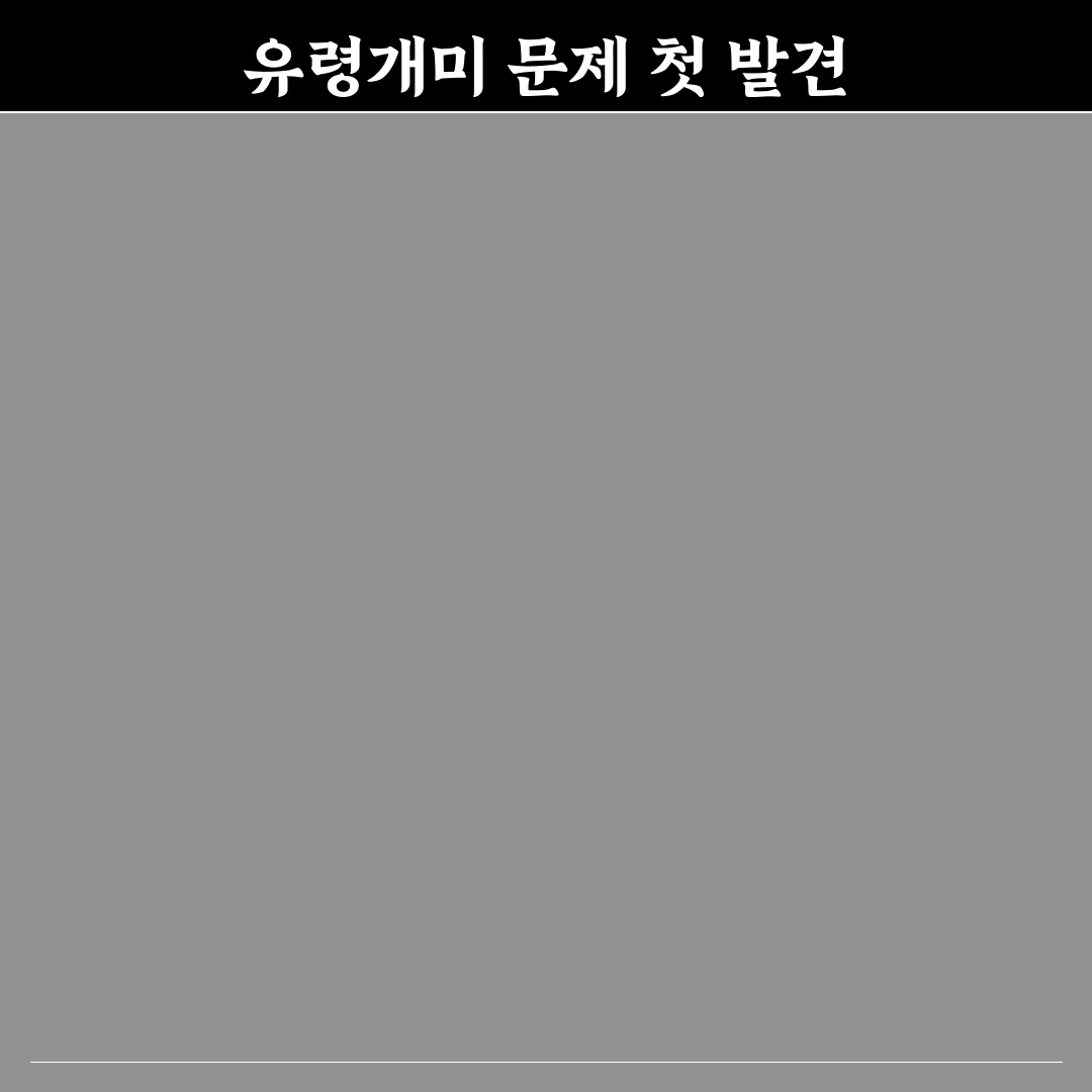 유령개미 퇴치법 직접 해보니 효과와 한계점