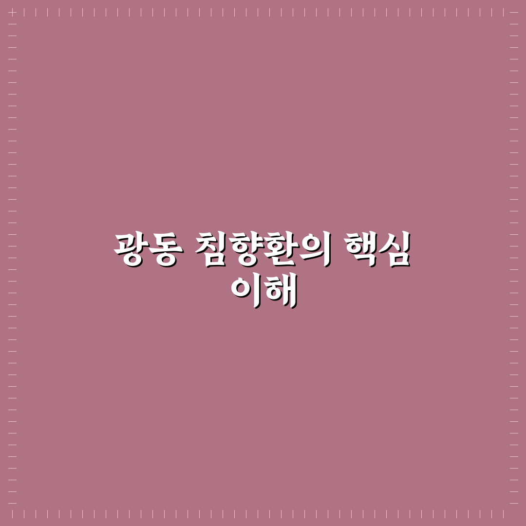 광동 침향환 가격 효능 알아보고 추천 꿀팁 정리