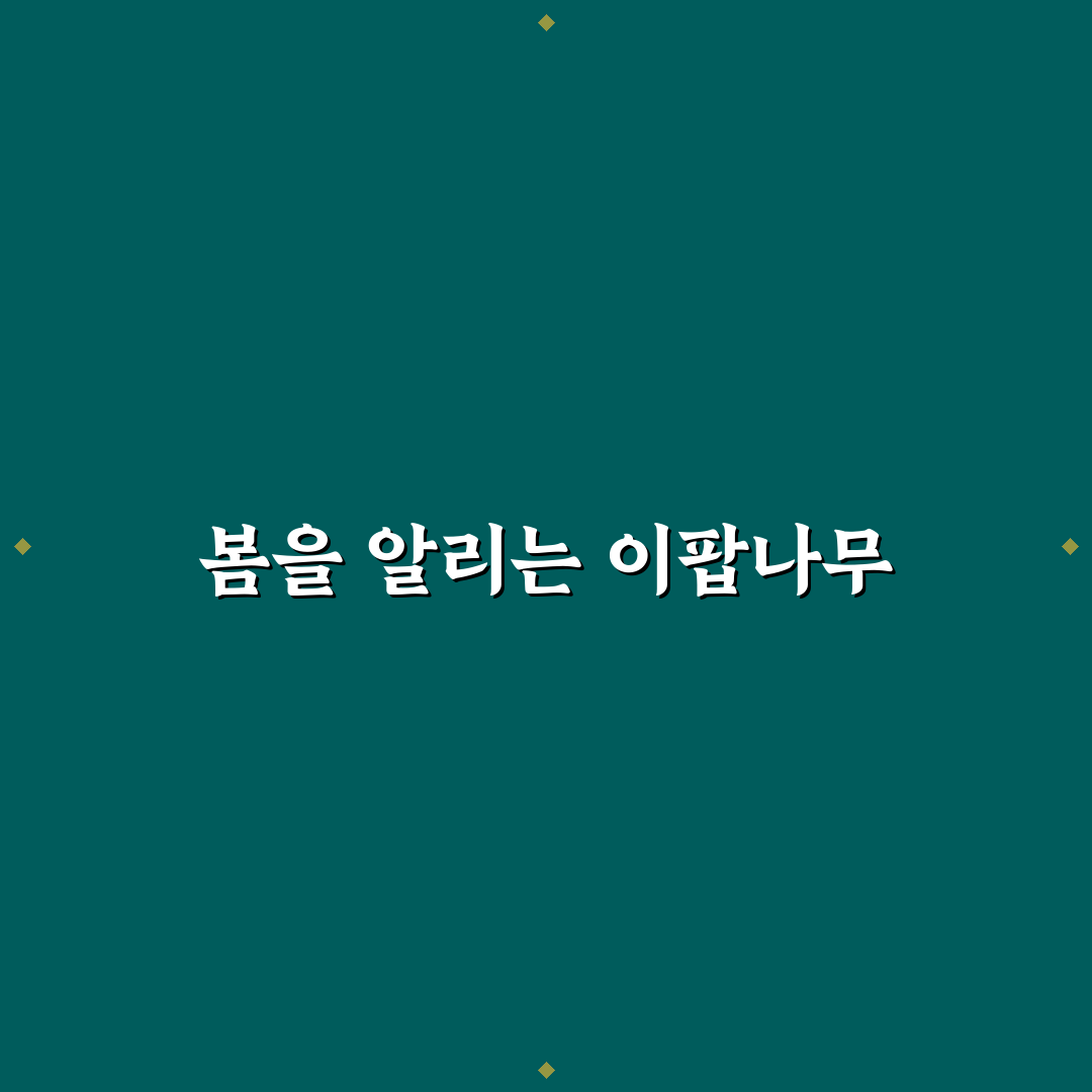 밀양 위양지 이팝나무 개화시기 방문 후기, 직접 가보니