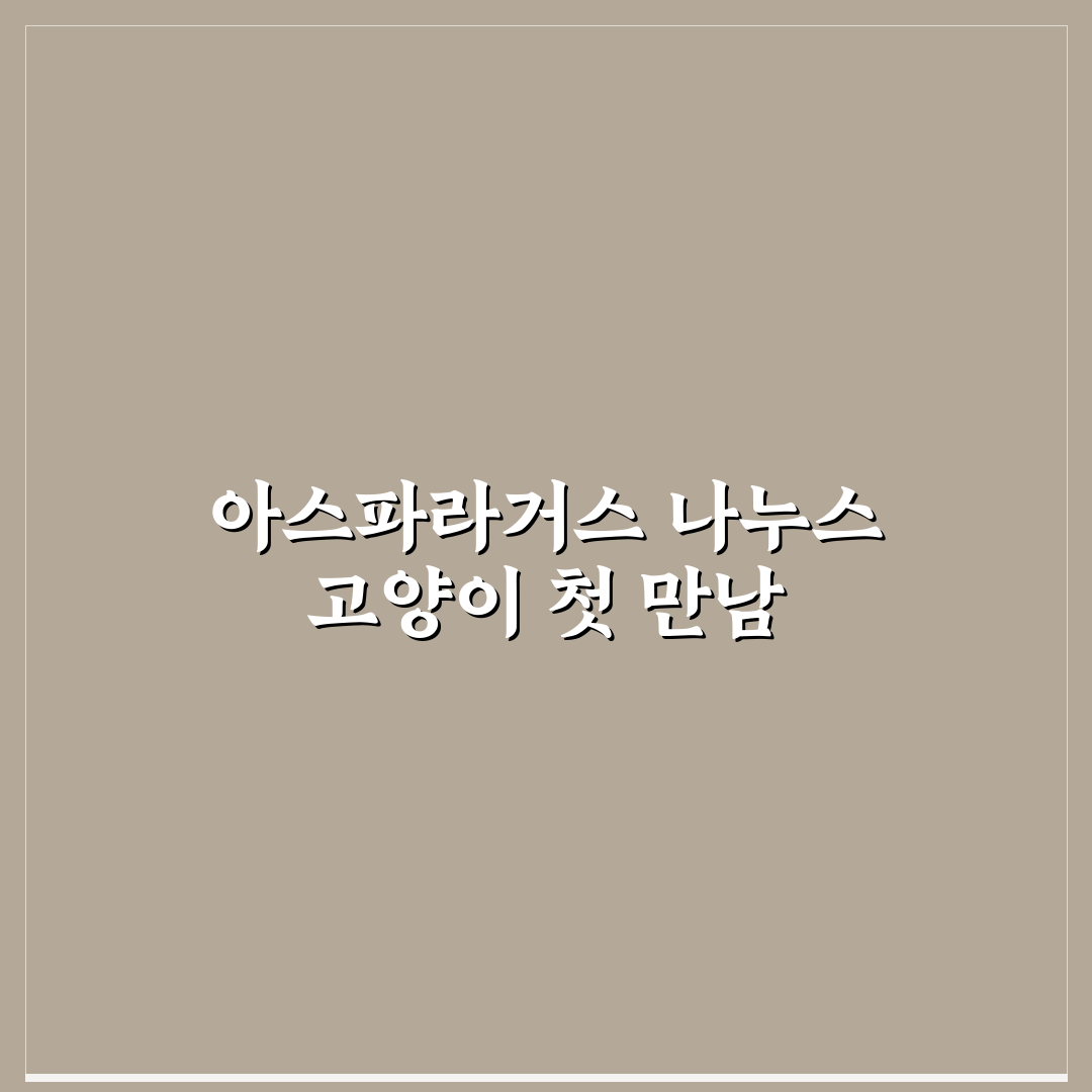 아스파라거스 나누스 고양이 사용기, 직접 써보니 반응은?