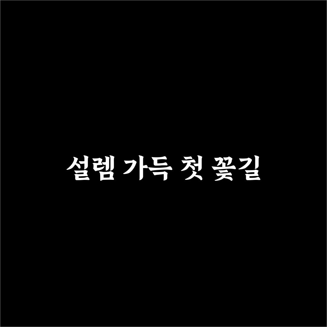 북천 양귀비 축제 방문 후기, 직접 가보니 어땠는지