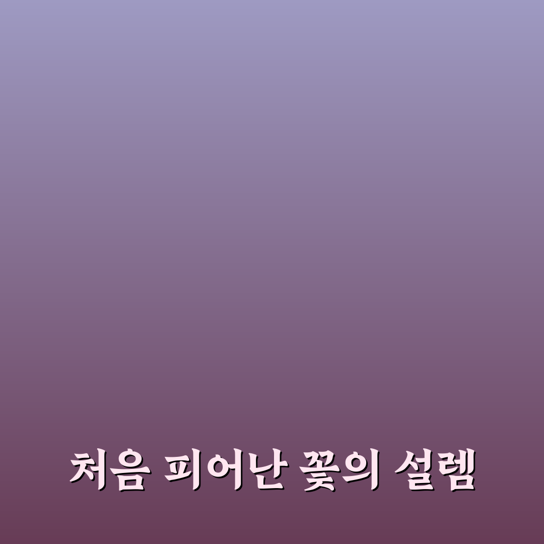 데이지꽃 시기 직접 알아보니 변화하는 모습이 인상적이었어요