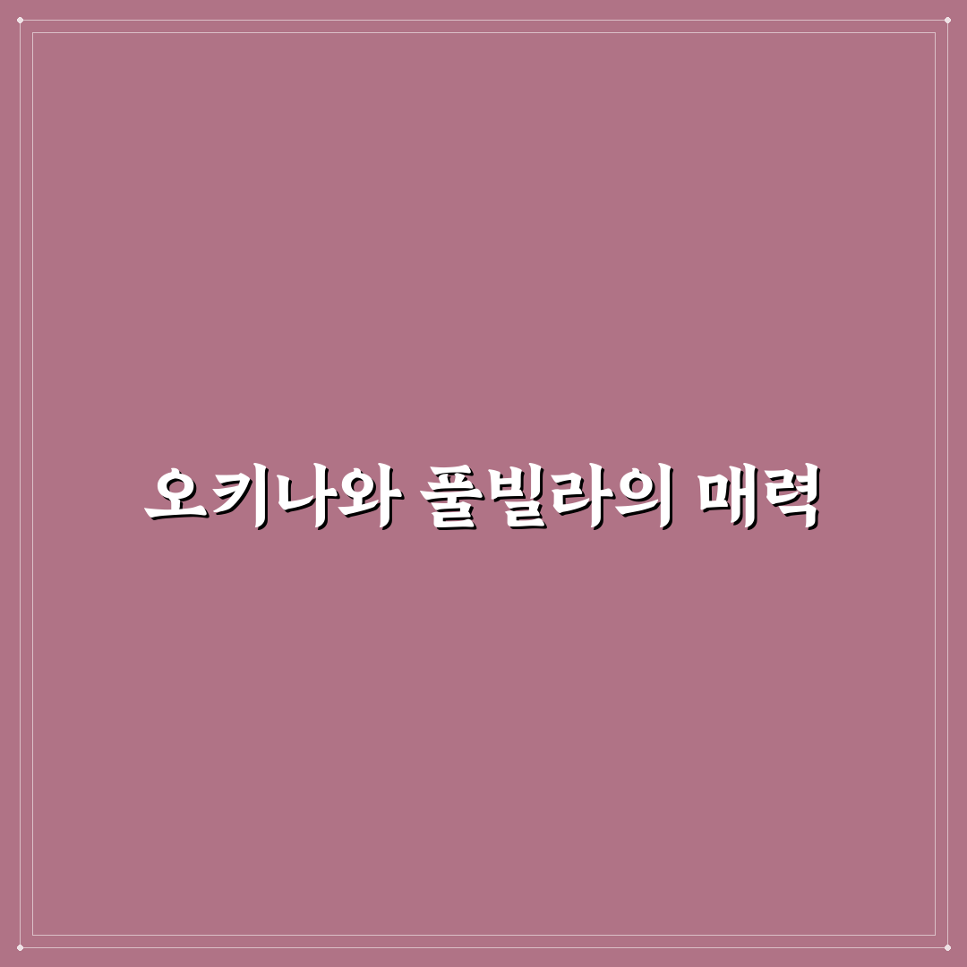 오키나와 풀빌라 선택 꿀팁과 인기 숙소 정리