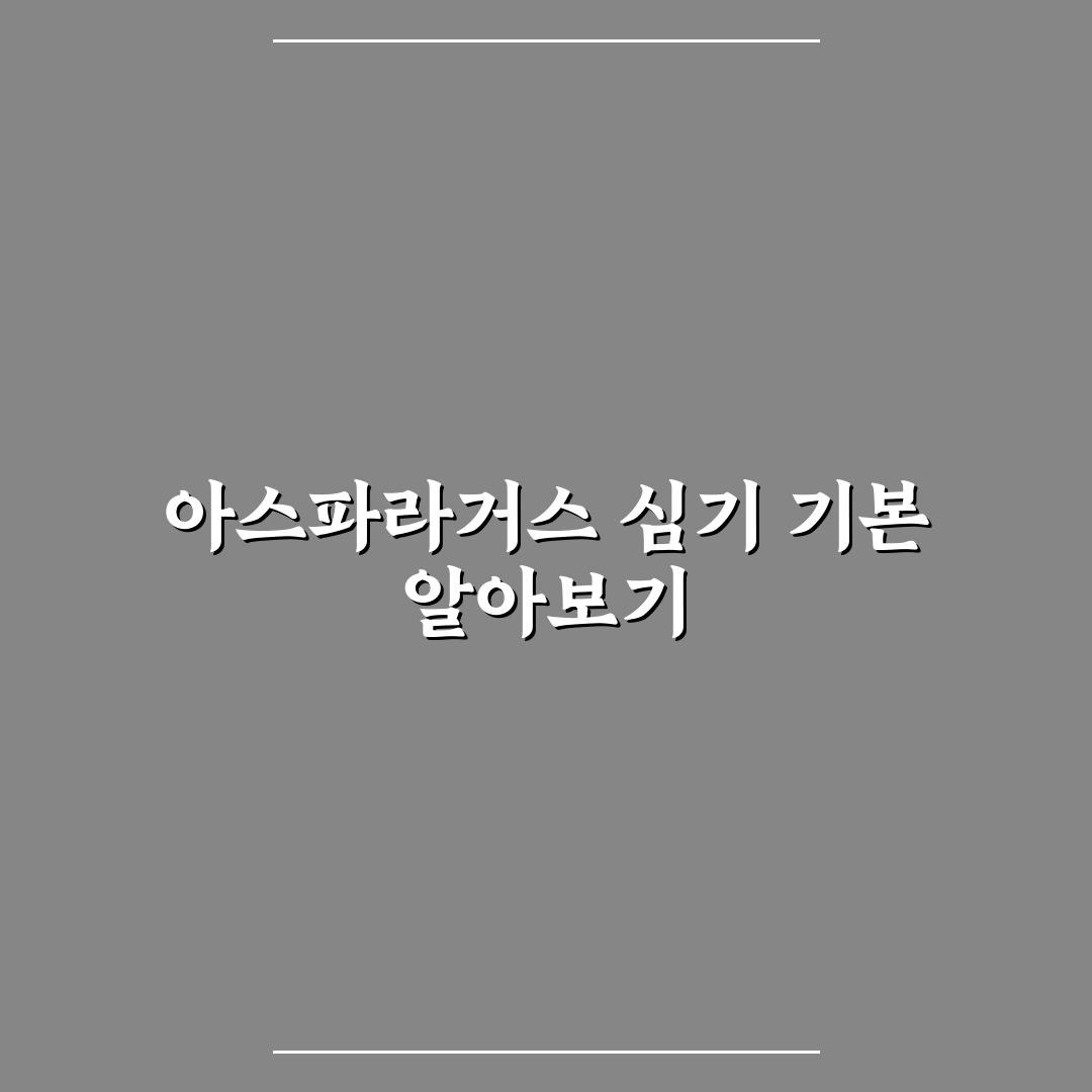 아스파라거스 심는시기와 방법 꿀팁 쉽게 알려드려요