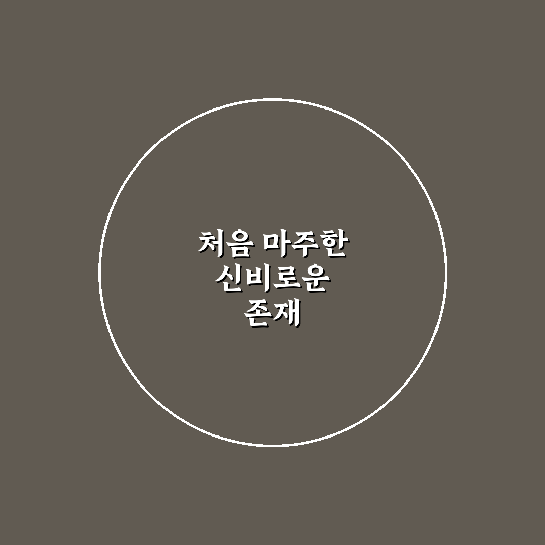 개미핥기 포켓몬 리얼리뷰, 직접 써보니 재미 포인트