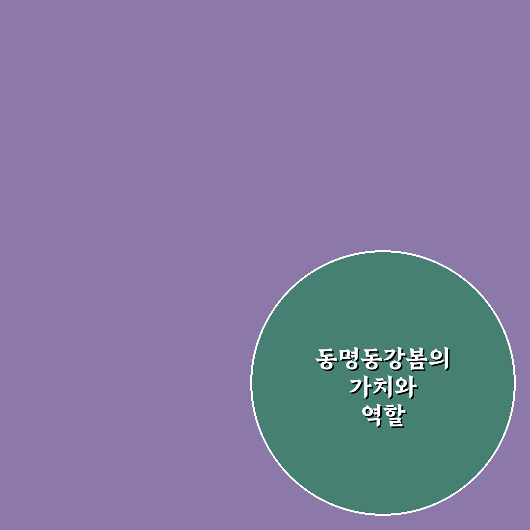 동명동강봄 방문 전 알아두면 좋은 꿀팁 정리