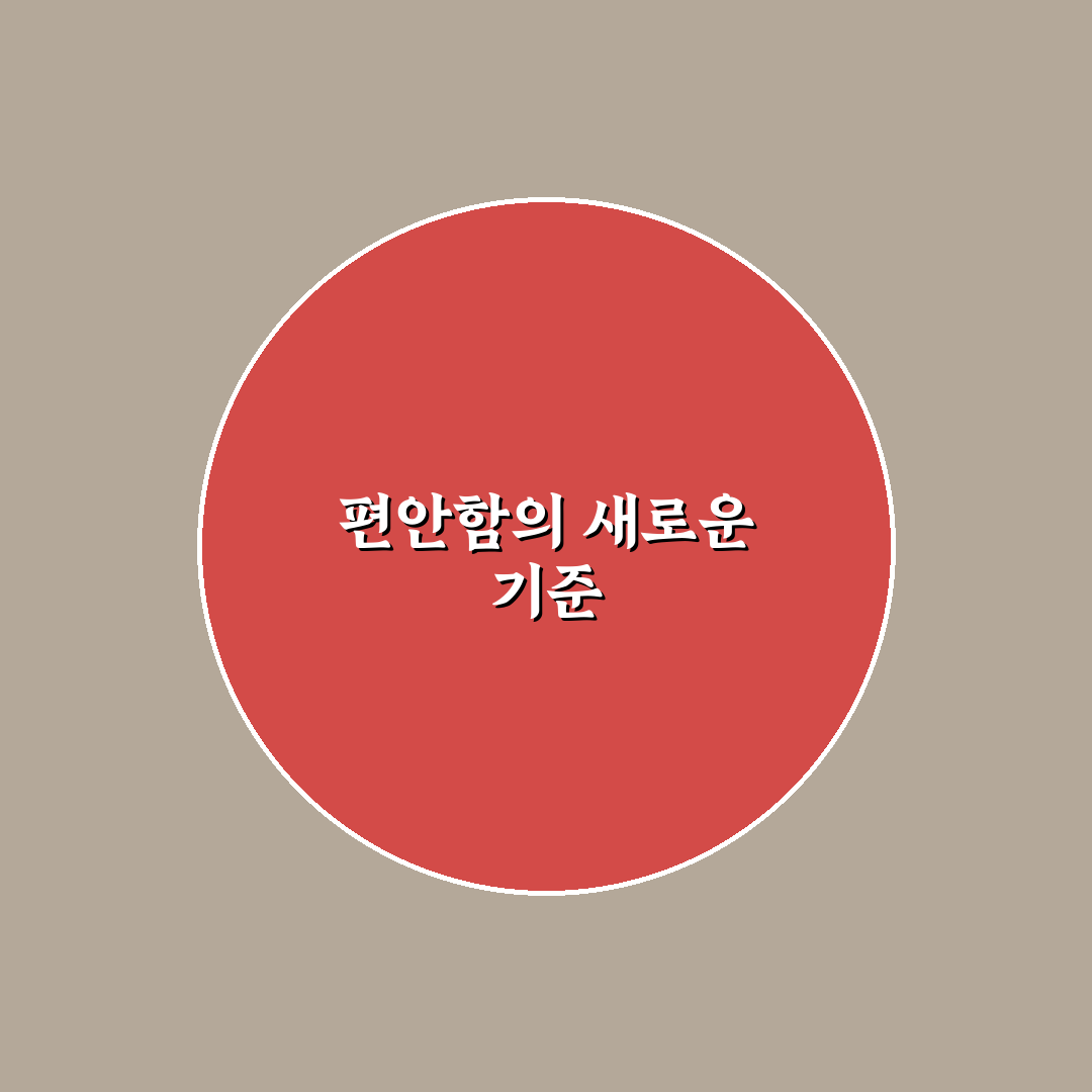애니체 의자 사용 꿀팁과 선택 가이드 정리