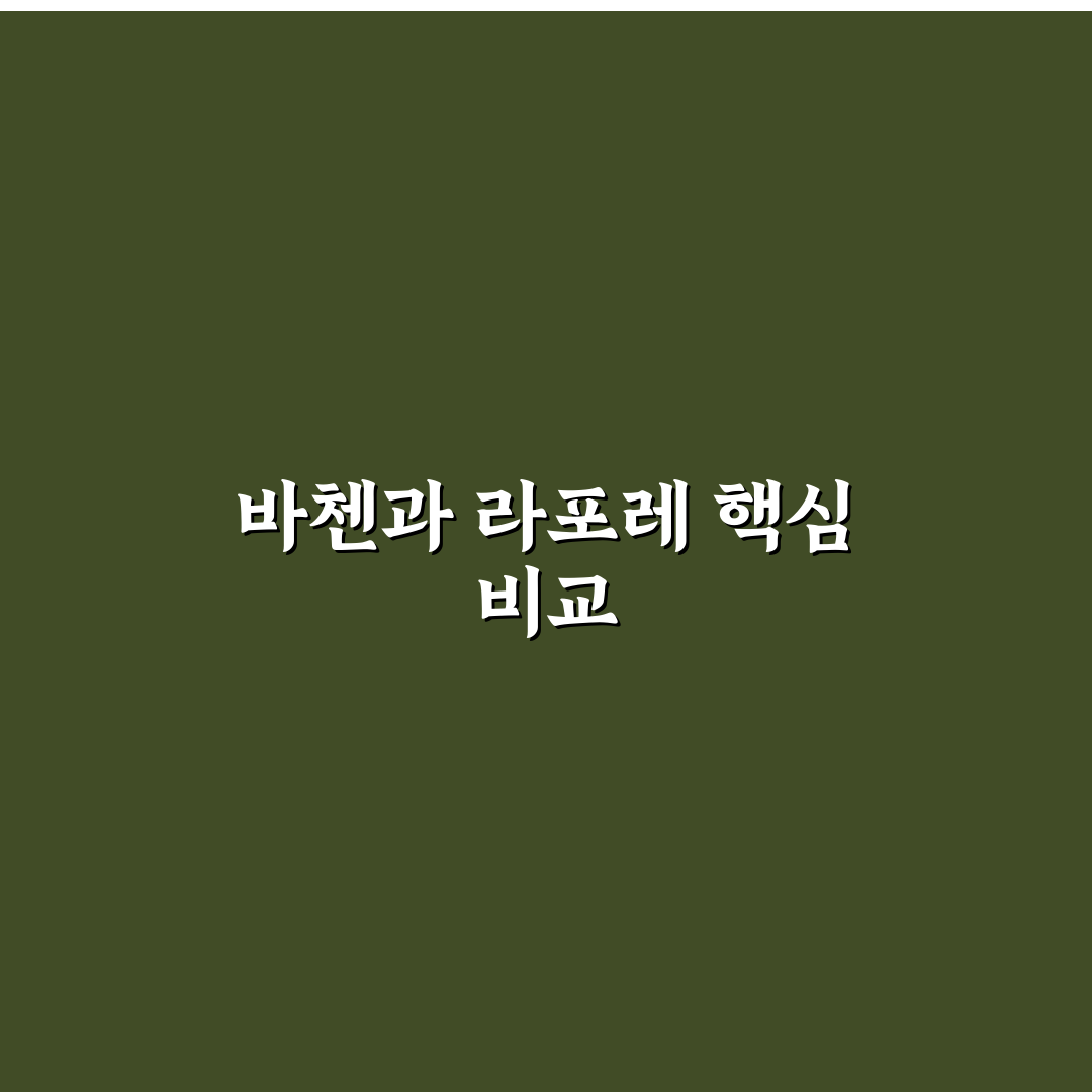 바첸 라포레 차이 쉽게 이해하는 방법과 꿀팁