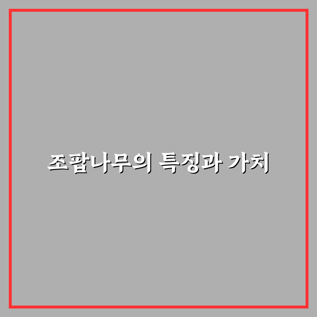 조팝나무 키우기 꿀팁 초보자도 쉽게 따라 하기