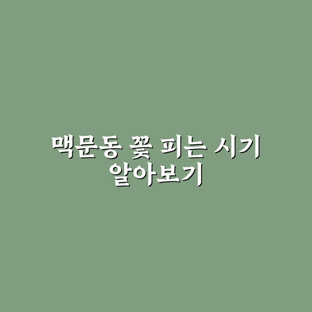 맥문동 꽃 피는 시기와 관리법 쉽게 알려드려요