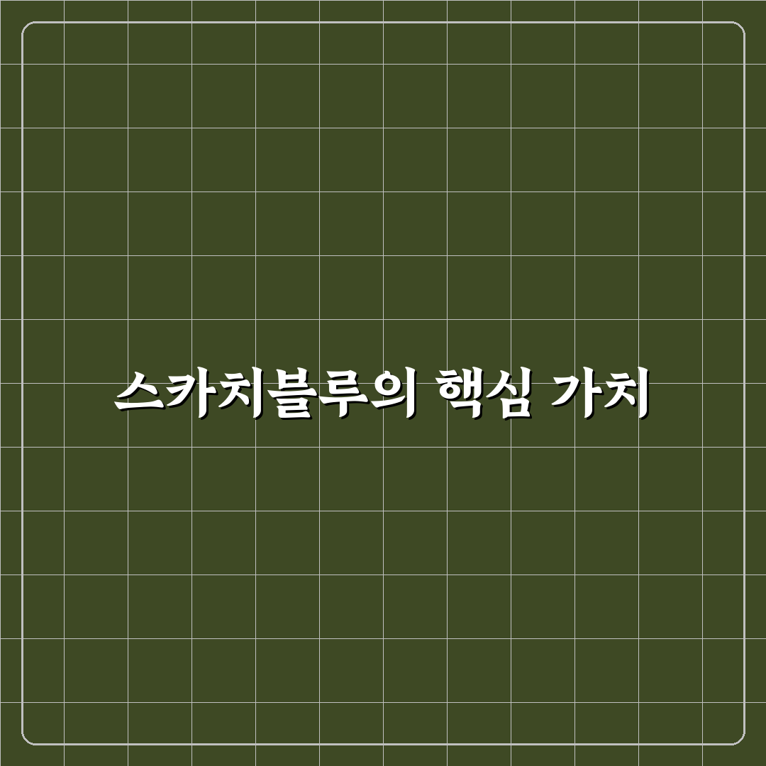 스카치블루 인터내셔널 사용법과 꿀팁 공유