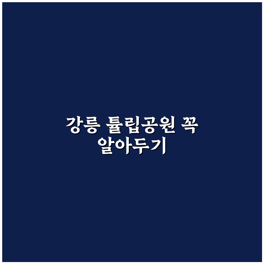 강릉 튤립공원 방문 꿀팁과 주요 즐길거리 정리