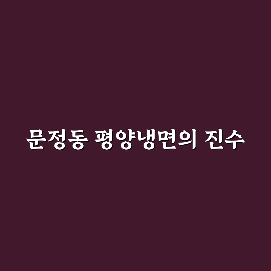 문정동 평양냉면 추천 맛집과 방문 팁 알려드려요