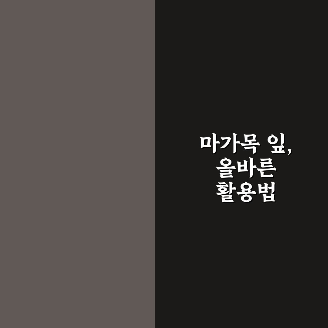 마가목 잎 먹는법 꿀팁 초보자도 쉽게 따라하기
