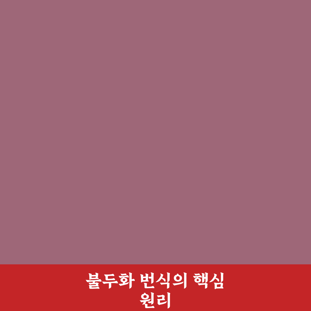 불두화 번식방법과 초보자도 쉬운 꿀팁 정리