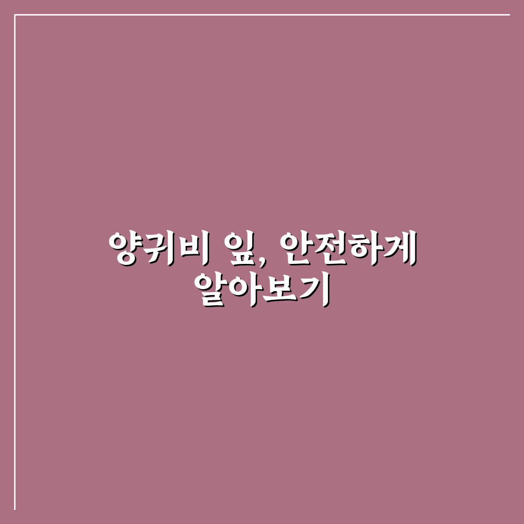 양귀비 잎 먹어도 되나요 궁금한 점 쉽게 정리해드려요