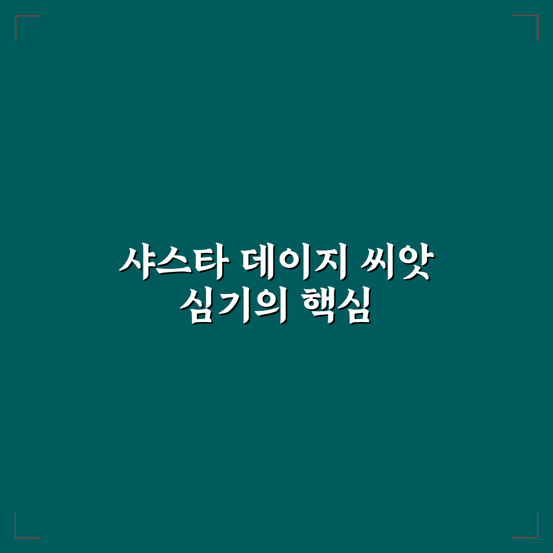 샤스타 데이지 파종 방법과 꿀팁 쉽게 알려드려요