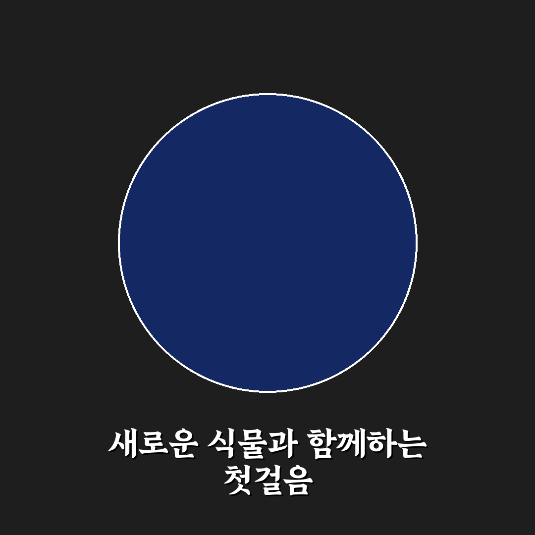 땅두릅 모종 사용 후기, 직접 심어보니 달랐던 점
