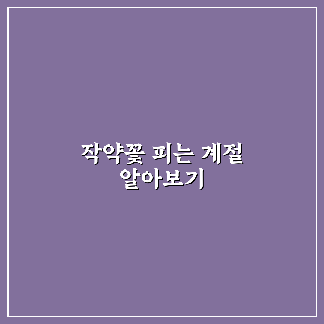 작약꽃 시기와 특징 쉽게 알려드려요 정리