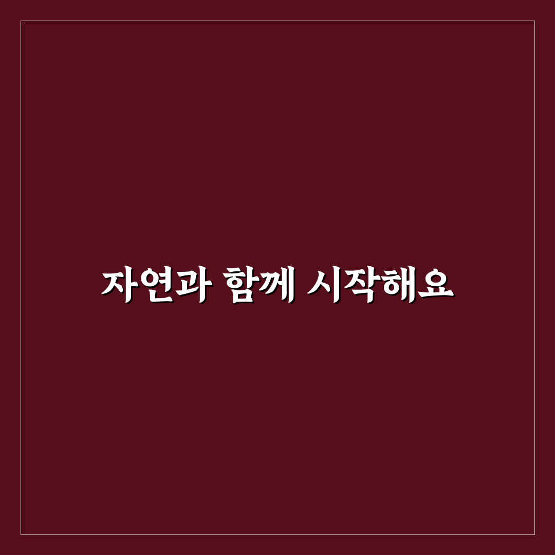이팝나무 직접 알아보니 느낀 주요 장점들
