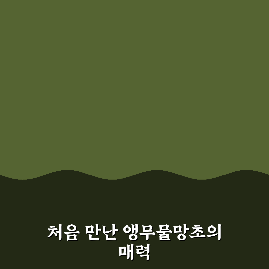 앵무물망초 사용 후기, 직접 써보니 느낌은 어떨까