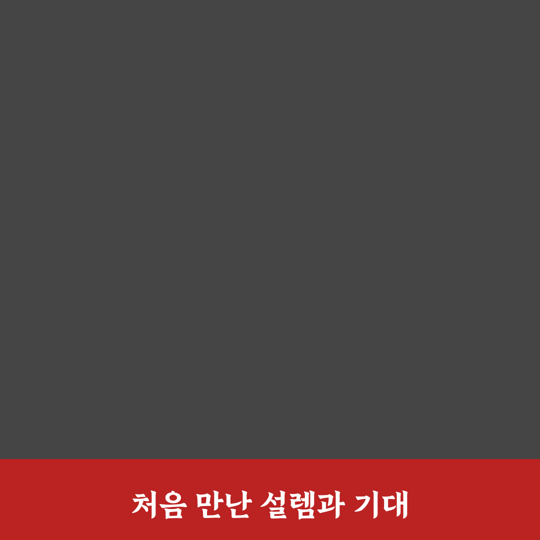 역삼동 풍년집 방문 후기, 분위기와 맛을 직접 느껴보니