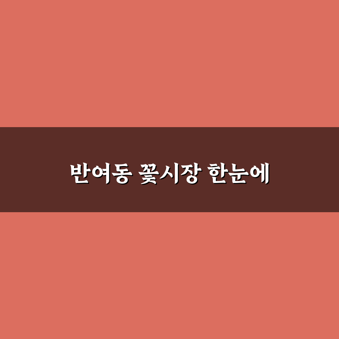 반여동 꽃 도매 이용 꿀팁과 구매 방법 정리