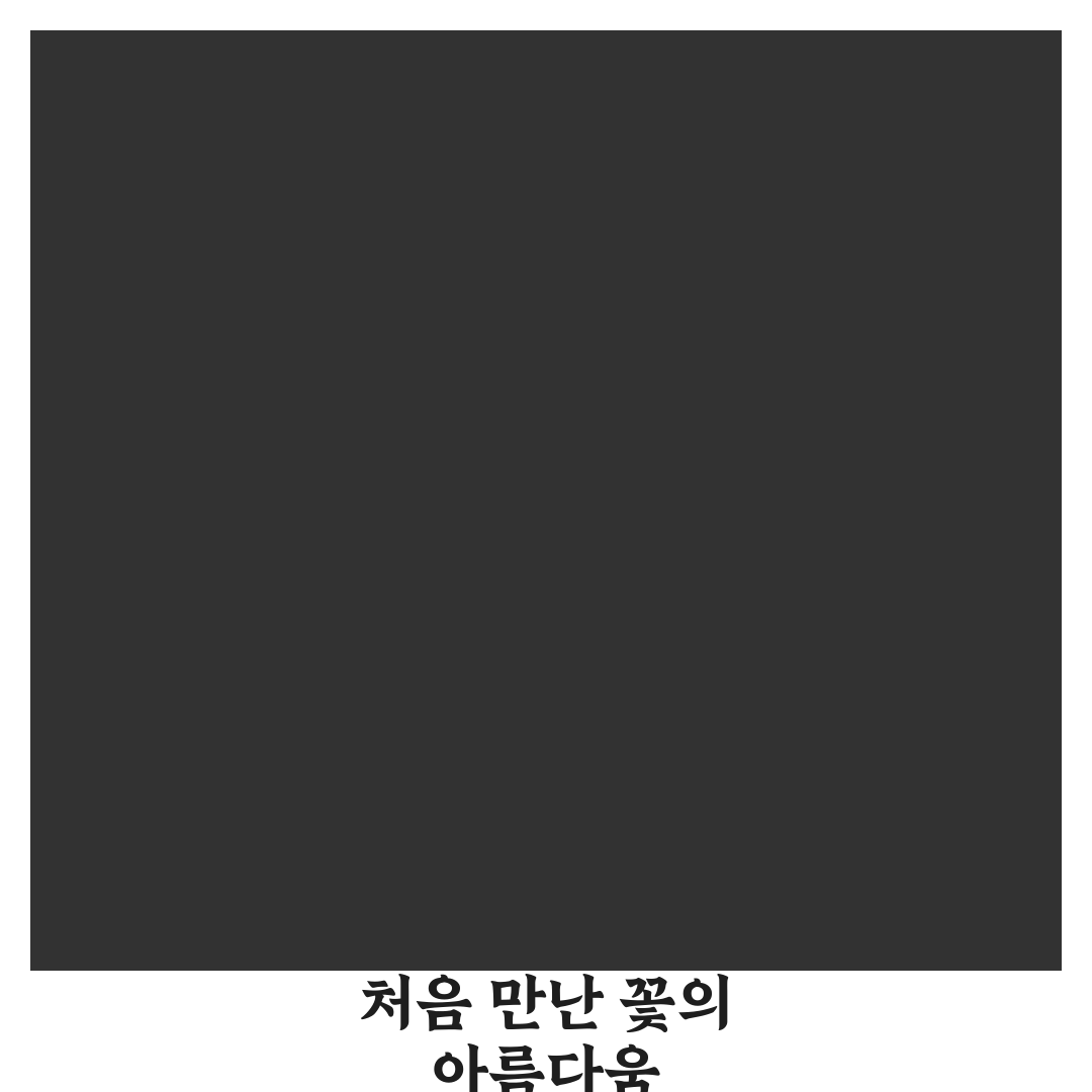 붕어섬 작약꽃 방문 후기, 직접 가보니 풍경과 분위기