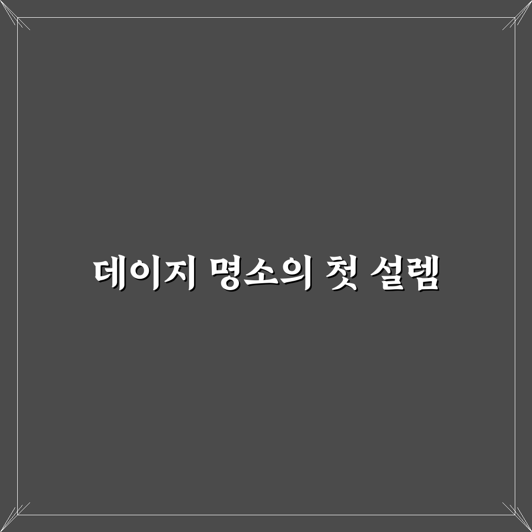 대구 데이지 명소 방문 후기, 실제 가보니 괜찮았던 점
