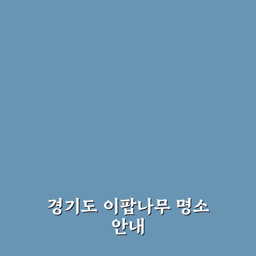 경기도 이팝나무 명소 추천과 방문 꿀팁 정리