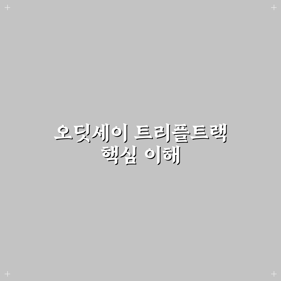 오딧세이 트리플트랙 사용법과 초보자 꿀팁 정리