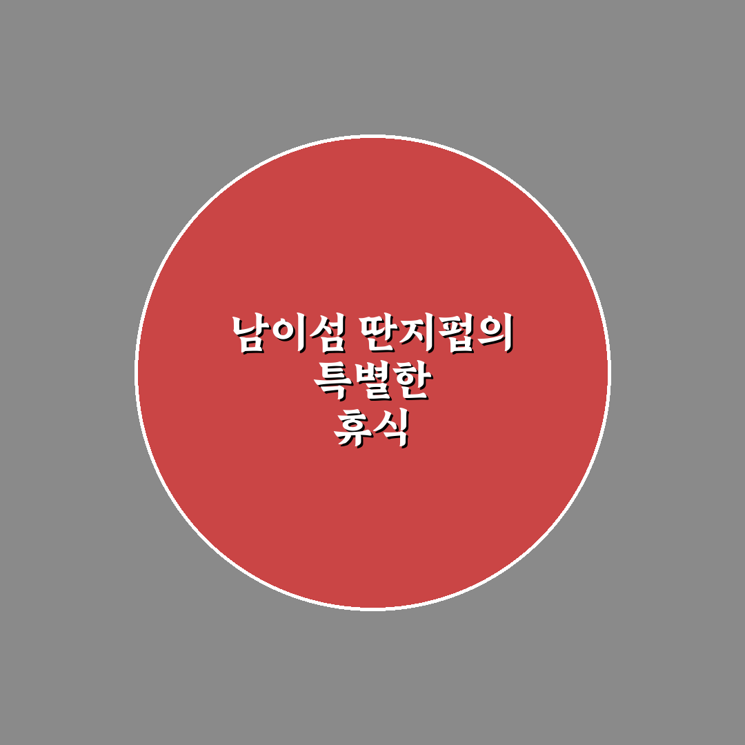남이섬 딴지펍 방문 꿀팁과 이용 방법 공유